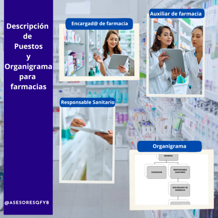 Descripción de Puestos y Organigrama